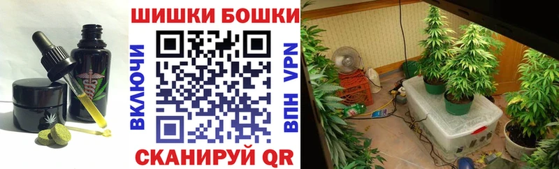 площадка формула  что такое   Шенкурск  Canna-Cookies марихуана 