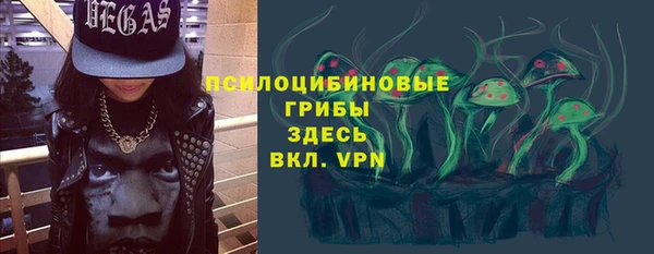 Альфа ПВП Абаза