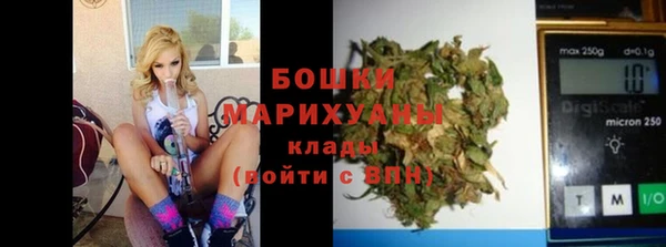 молекула духа Пестово