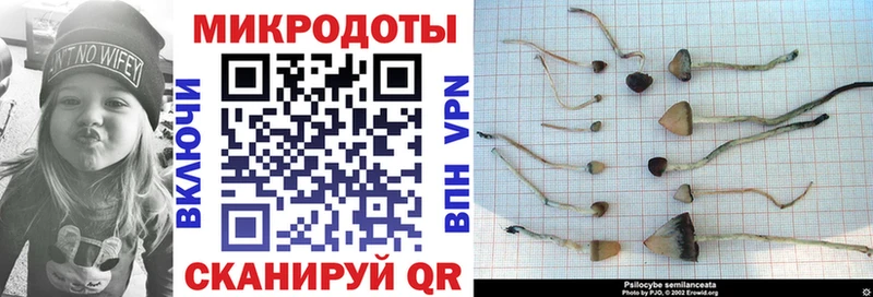 Псилоцибиновые грибы MAGIC MUSHROOMS  blacksprut сайт  Шенкурск  где можно купить наркотик 